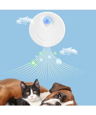 Cat Litter Deodorizer USB Rechargeable Litter Box Odor for Small Area Bathroom Pet House Wardrobe Kitchen Cat Litter Deodorizer Litter Box Odor Rechargeable Air Purifier Plug-in - Buy Online on GoSupps.com