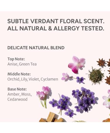 Noelo Hills Essential Body Wash Gentle Pregnancy and Postpartum Cleanser Deep Hydrating Clean Pregnancy Safe Sebum & pH Balancing Formula Pore Cleansing Moisturizing 6.76 fl oz. - Buy Online on GoSupps.com