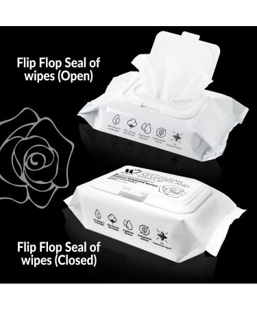 WBM Care Flushable Wipes for Women - Deep Clean Makeup Remover & Hydrating Face Wipes Fragrance-Free 25 Sheets - Perfect for International Shipping - Buy Online on GoSupps.com