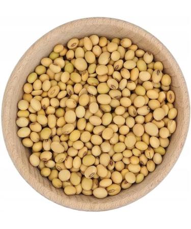 Graines de Soja Naturelles Source de Prot ines V g tales Id al pour Cuisine V gane Germination Plats Asiatiques et Pr parations Maison 1 Kilogramme | KUCHNIA ZDROWIA 1 kg (Lot de 1) - Buy Online on GoSupps.com