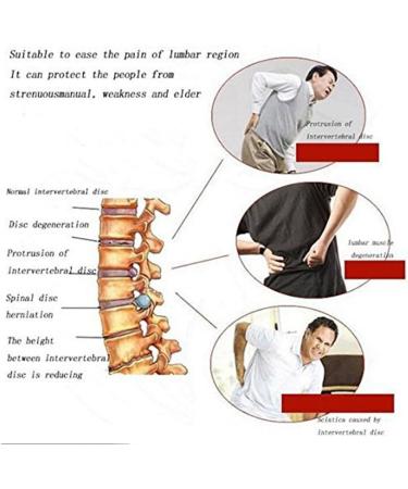 Buy Tcare Tourmaline Self-Warming Magnetic Therapy Waist Support - Adjustable XL Back Support for Lumbar Spine Relief - Buy Online on GoSupps.com
