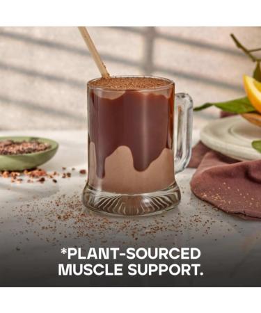 Vegan Protein Powder Chocolate Orange 500g - New Formula, 14 Servings - Buy Online on GoSupps.com