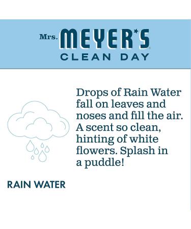 Mrs. MEYER'S CLEANDAY Foaming Hand Soap Rain Water 10 Oz. (Pack of 6) 1.67 Ounce (Pack of 6) - Buy Online on GoSupps.com