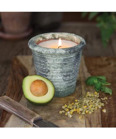 Northern Lights 64713 Herban Garden Kaffir Lime & Oregano - 12 oz | Premium Herbs for International Shipping - Buy Online on GoSupps.com