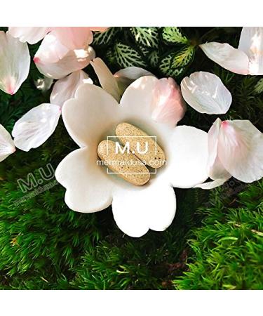 Magic Whitening Herbal Supplement for Clear, Bright, and Smooth Skin - 3x more effective than glutathione - Dark Spot & Acne Remover - Non GMO - Buy Online on GoSupps.com