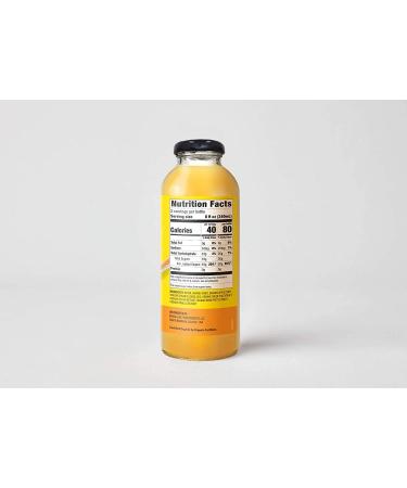 Bragg Organic Apple Cider Vinegar Drink with Honey - 16oz | 12 Pack - Buy Online on GoSupps.com
