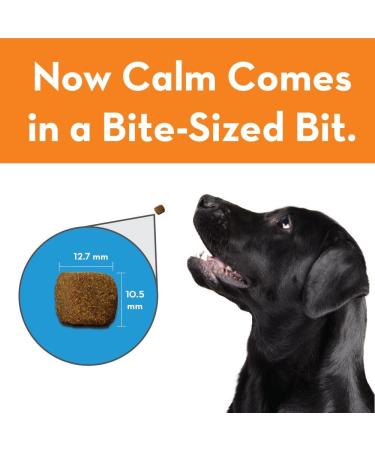 Buy ThunderWunders Dog Calming Chews | 180 Count | Relieve Stress from Separation Storms & Travel | Thiamine L-Tryptophan Melatonin & Ginger - Buy Online on GoSupps.com