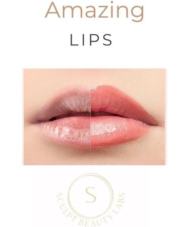 S SCULPT BEAUTY LABS Perfect Lip Balm for and Shine & Hydrate Dry Lips Moisturizer for Lips Care with Rose Oil & Vitamin E Pink - Buy Online on GoSupps.com