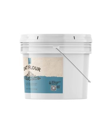 Organic Oat Flour - 1 Gallon | Gluten-Free, Non-GMO, Finely Ground | 128 Fl Oz - Buy Online on GoSupps.com