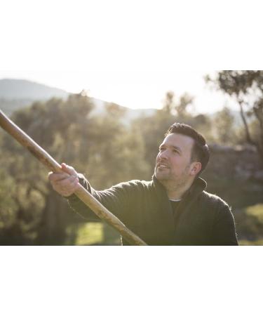 Buy Award-Winning Jordan Bio Olive Oil - 5L Greek Organic Olive Oil from Lesbos - Cold-Pressed & Handpicked - Buy Online on GoSupps.com