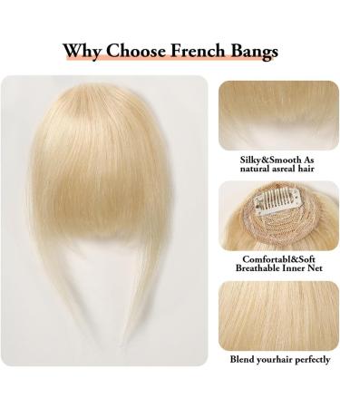 Bangs Hair Clip Clip in Bangs Remy Human Hair Wispy Bang Extention Fringe with Temples Blonde Glonde Hairpiece for Women Clip on Air Bang 4.5in Bangs Clip in Hair(Color:HLH1004-5) - Buy Online on GoSupps.com
