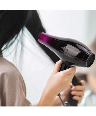 Electric Hair Dryer 220V Hairdryer for Dog Pet - Buy Online on GoSupps.com