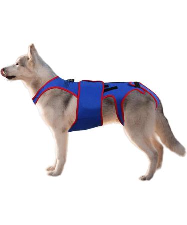 SHZONS Dog Back Brace Support Dogs Back Brace Helps Small Dogs D-Ring and Reflective Strips Back Protector Support Helps Hurt Relief Dogs Back Xl - Buy Online on GoSupps.com