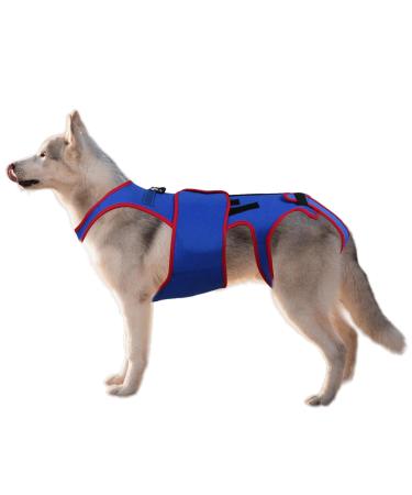 Small Dog Back Brace Spinal Support - Dogs Back Brace Helps Small Dogs - D-Ring and Reflective Strips Back Protector Support Helps Hurt Relief Dogs Back Xl