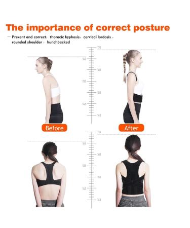 Adjustable Back Straightener for Men & Women - Posture Corrector for Lumbar Support - B02 XXL Black - Buy Online on GoSupps.com