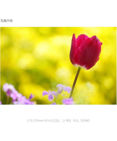 Sony E 55-210mm F4.5-6.3 Black Lens for E-Mount Cameras - Buy Now! - Buy Online on GoSupps.com