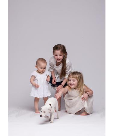 100% Baltic Amber Dog & Cat Chain - Natural Tick Protection | Ilikeamber.com - Buy Online on GoSupps.com