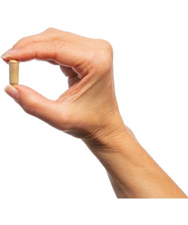 Metagenics - Concentrated Ultra Prostagen - Prostate Support Supplement for Men with Saw Palmetto Nettle Root and More - 60 Capsules - Buy Online on GoSupps.com