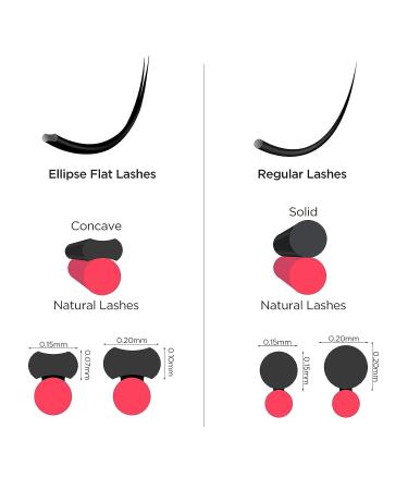 BEYELIAN 0.15mm D Curl 10mm Classic Eyelash Extensions - Super Matte Ellipse Flat Lashes for Professional Salons - Buy Online on GoSupps.com