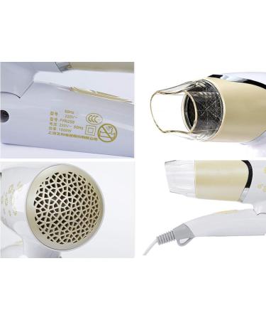 1500W Professional Hair Dryer Salon Hairdryer Compact Hair Dryer Styling Hairdryer with Ionic Conditioning Powerful Constant Temperature 2 Speeds Quick Drying for All Types of Styles and Hair Small - Buy Online on GoSupps.com