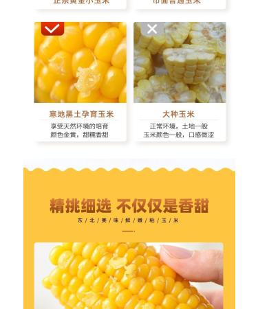 Delicious yellow glutinous corn stick sweet corn fresh corn vegetable snacks nutritious breakfast Coarse grains cereal Dim sum dessert sweets Chinese snack gift pack convenience food (8 bags) - Buy Online on GoSupps.com
