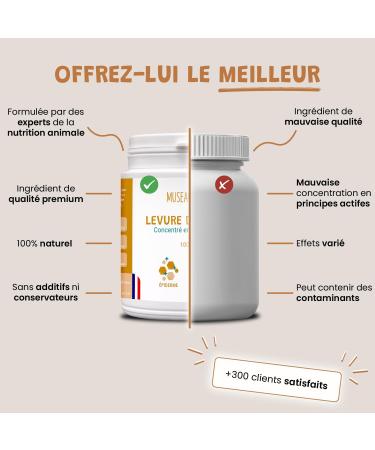 Brewer's Yeast Powder for Dogs and Cats - Source of Vitamin B - 100% Natural Food Supplement - 100g - Buy Online on GoSupps.com