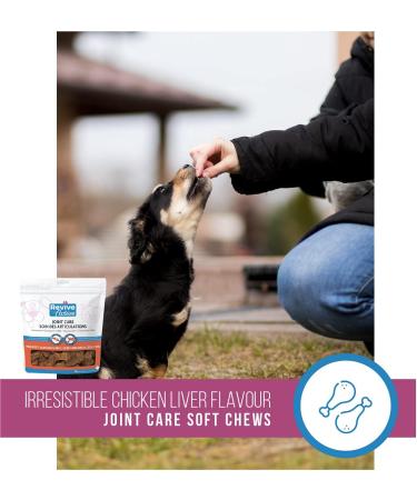 Revive Active Joint Care Soft Chews for Dogs and Cats 90Ct Relieves Inflammation Promotes Optimal Growth and Development Joint Mobility and Good Health. Chews 90ct - Buy Online on GoSupps.com