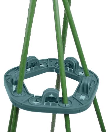 Zuasdvnk Plant Support Holder - 10-Hole Garden Plug for Climbing Plants | Bamboo Pipe Support for Tomatoes - Buy Online on GoSupps.com