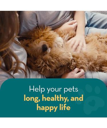 The Healthy Dog Co Spot On Flea and Tick Treatment for Dogs 100ml - Buy Online on GoSupps.com