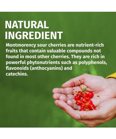 Montmorency Sour Cherry Capsules - 180 Capsules, 1200mg Daily Dose, Vegan, 3 Months Supply by Green Naturals - Buy Online on GoSupps.com