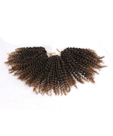 Buy 3 Packs Eunice Hair Marlybob Kinky Curl Hair Extensions - 8 Inch Crochet Braids (1B 27) - Curly Corrugated 20.32 cm for International Shipping - Buy Online on GoSupps.com