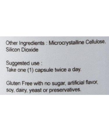 Stem Cell Supplement 240 Capsules (60 Count x 4 Bottles) - Pack of 1 - Buy Online on GoSupps.com