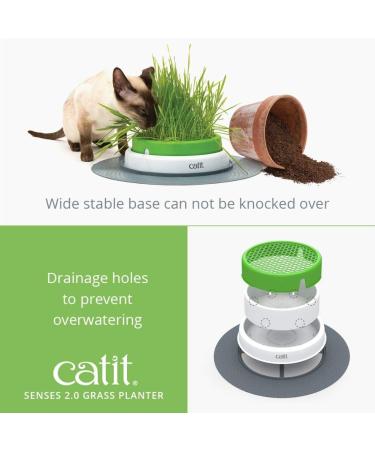 Catit Play Track Super - Ultimate Super Circuit & Grass Planter for Cats | International Shipping - Buy Online on GoSupps.com