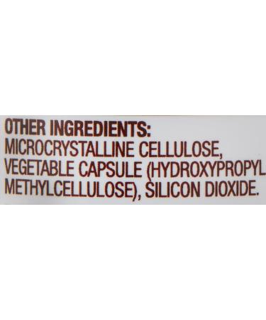 Pure Collagen Peptides Powder - ZINT Nutrition | Most natural,  nutrient-rich ingredients