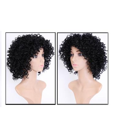 Curly Hair Wigs for Black Women - Natural Kinky Afro Wigs Lace Front & Synthetic Options - Buy Online on GoSupps.com