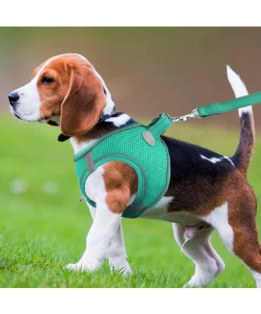 Joyal Dog Harness - Reflective Soft Padded Air-Mesh for Medium Dogs | Turquoise XL (55-61cm) - International Shipping Available - Buy Online on GoSupps.com