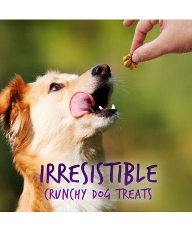 Fruitables Baked Dog Treats - Healthy Pumpkin & Blueberry Snacks | Low-Calorie, Wheat, Corn & Soy Free | 7 Oz - Buy Online on GoSupps.com