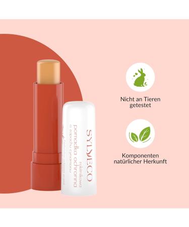 SYLVECO Sea Buckthorn Lip Care Stick with Cinnamon Scent - Buy Online on GoSupps.com