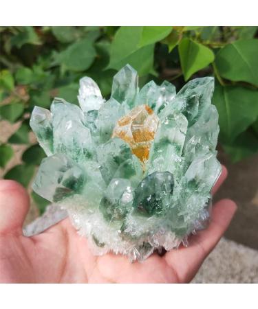 300-1000g Garden Crystal Cluster Natural Green Ghost Quartz raw Gemstone Specimen Home Decor Suitable for Home HOMEZHOU (Size : 800-900g) - Buy Online on GoSupps.com