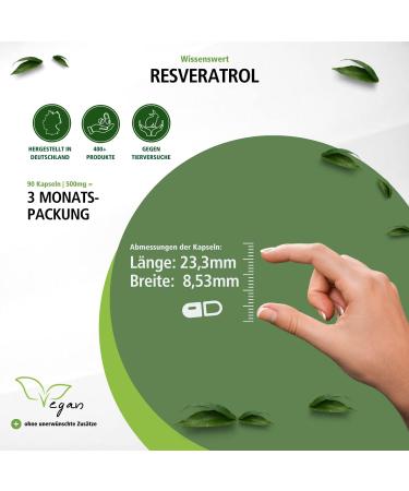 Fairvital Resveratrol Capsules - 500mg Trans-Resveratrol - High Dose Vegan Supplement - 90 Capsules - International Shipping Available - Buy Online on GoSupps.com