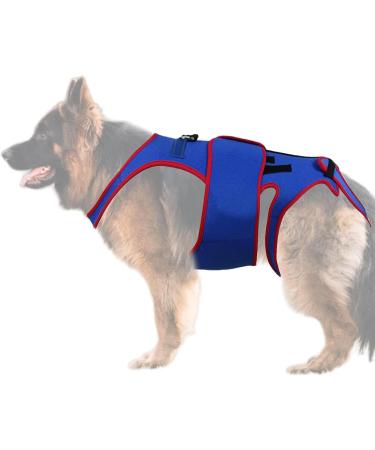Small Dog Back Brace Spinal Support - Dogs Back Brace Helps Small Dogs - D-Ring and Reflective Strips Back Protector Support Helps Hurt Relief Dogs Back - Buy Online on GoSupps.com