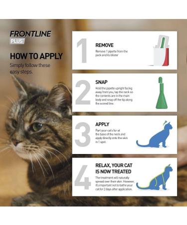 Frontline PLUS Spot On Cat Flea Treatment 6 pipettes - Buy Online on GoSupps.com