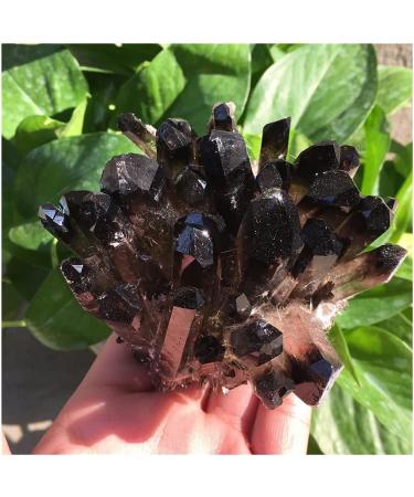 1pc Natural Crystals Smoky Quartz Cluster Freeform Reiki Stones Room Home Office Aquarium Decoration Accessories Gemstone Home Decoration (Size : 400-450g) - Buy Online on GoSupps.com