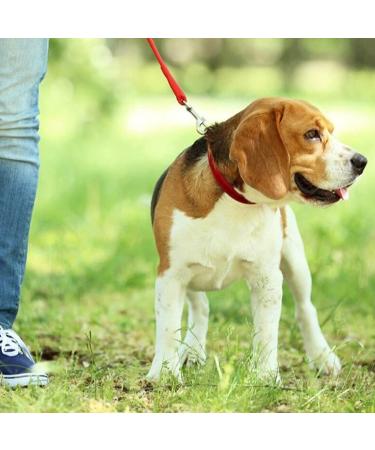 Adjustable Double Pet Trainer Leash - No Tangle Double Dog Leash for Dual Use | Weescie - Buy Online on GoSupps.com