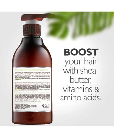 Anti Dandruff Shampoo for Itchy Scalp - Natural Shea Oil Treatment for All Hair Types | Fight Dandruff with Vitamins & Menthol - 10.1 Fl Oz - Buy Online on GoSupps.com