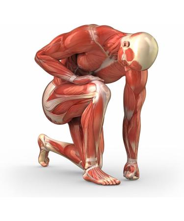 Vitamin K2 (MK7 All-Trans) 200 g - High-Dose Vegan Tablets for Blood Clotting & Bone Health - 180 Tablets No Additives Non-GMO - Buy Online on GoSupps.com