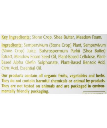 Eminence Stone Crop Gel Wash - 4.2 fl oz | Gentle Cleanser for Bright, Hydrated Skin - Buy Online on GoSupps.com