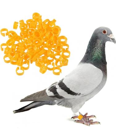 Yardwe 400 Stk Tauben Foot Bands for Chickens & Pigeons - Durable Bird Toy Rings - Size 2x2pcs - International Shipping Available! - Buy Online on GoSupps.com