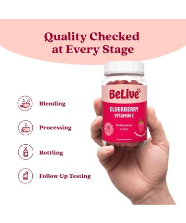 BeLive Elderberry Gummies with Zinc and Vitamin C - Immune Support Supplement with Vitamin D A E B12 - Gummies for Healthy Bones & Teeth Vegan Keto & Non-GMO - Raspberry Flavor | 2-Pack 2 Pack - Buy Online on GoSupps.com