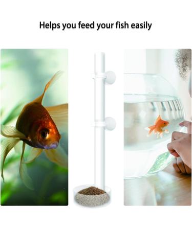 Rumyve Acrylic Shrimp Feeding Dish Fish Feeding Tube Tank Viewing Aquarium Feeding Tube Fish Food Container Shrimp Feeding Dish Set 25cm Tube and 6.5cm Feeding Bowl - Buy Online on GoSupps.com